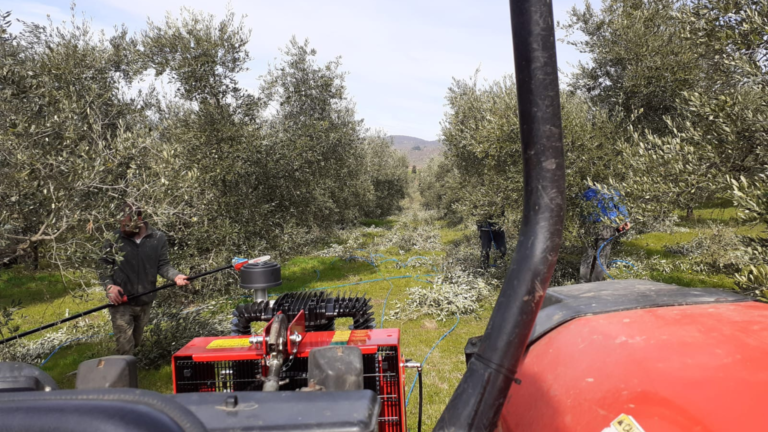oliveti-casasole-2